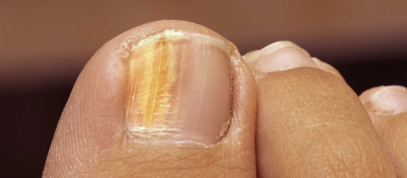 dermatologista em Florianopolis sc square Dermatologista em Florianópolis – Norte da Ilha